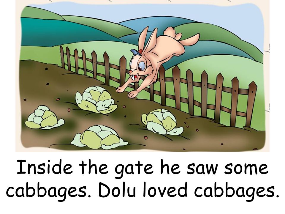 Inside the gate he saw some cabbages. Dolu loved cabbages.