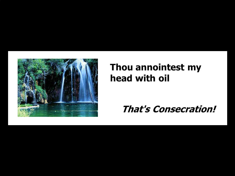Thou annointest my head with oil That s Consecration!