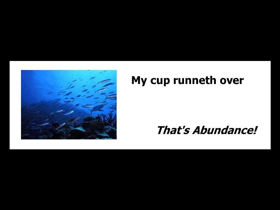 My cup runneth over That s Abundance!