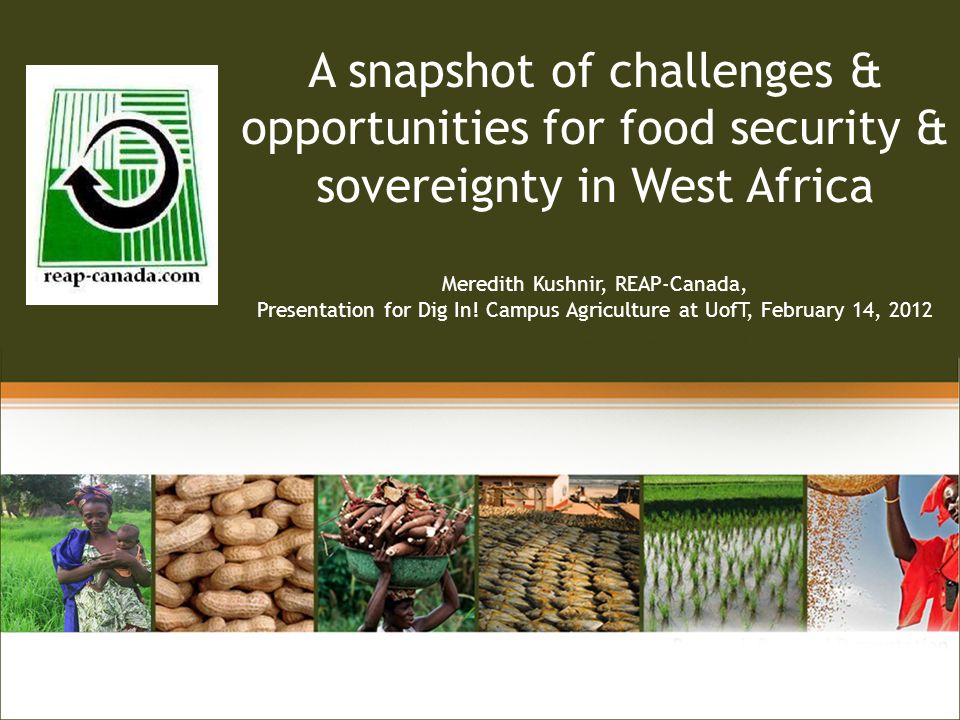 Linking A snapshot of challenges & opportunities for food security & sovereignty in West Africa Meredith Kushnir, REAP-Canada, Presentation for Dig In.
