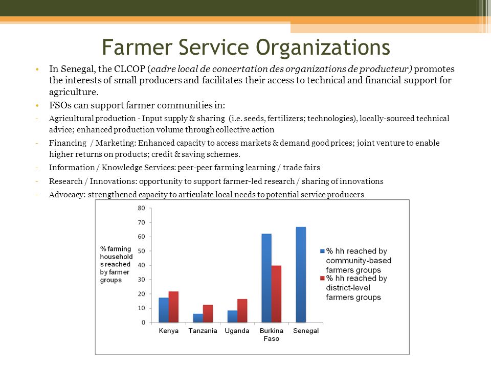 Farmer Service Organizations In Senegal, the CLCOP (cadre local de concertation des organizations de producteur) promotes the interests of small producers and facilitates their access to technical and financial support for agriculture.