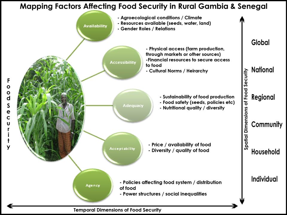 Global Factors (global markets, trade policies, economies etc…) National Factors (policies affecting, rural extension, access to goods) Community Level factors (access to land, resource availability (i.e.