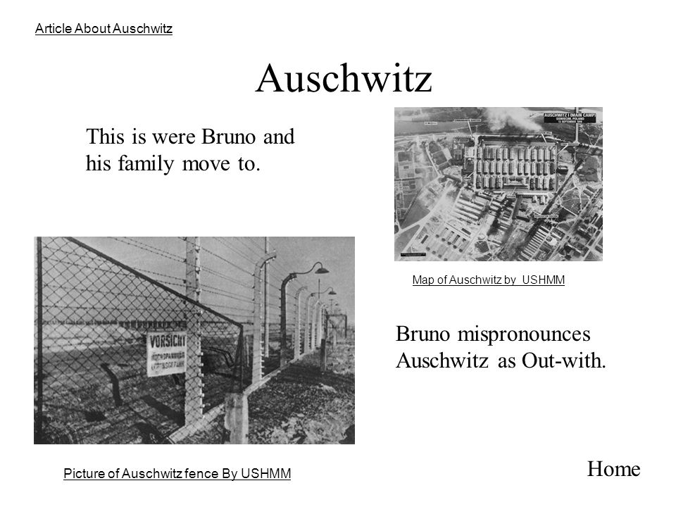 research essay on auschwitz research essay on auschwitz