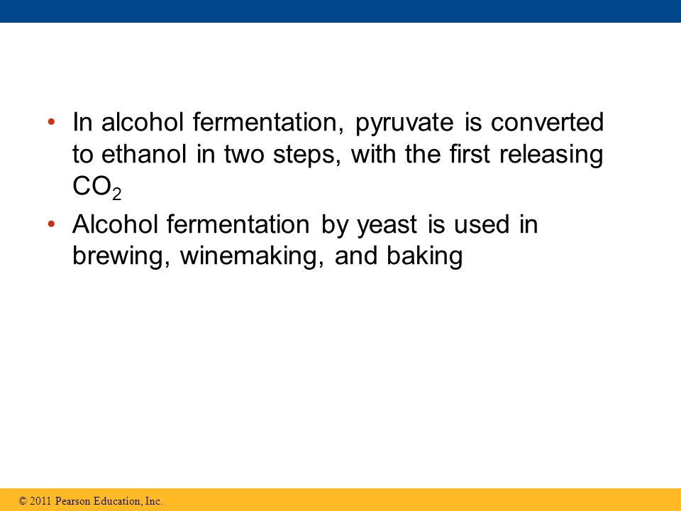 bio lab alcoholic fermentation Coming up next: photosynthesis: biology lab yeast and its ability to perform alcohol fermentation lesson summary alcohol alcohol fermentation. bio lab alcoholic fermentation Coming up next: photosynthesis: biology lab yeast and its ability to perform alcohol fermentation lesson summary alcohol alcohol fermentation.