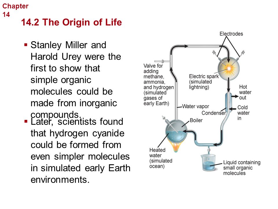 squella chemistry research papers squella chemistry research papers