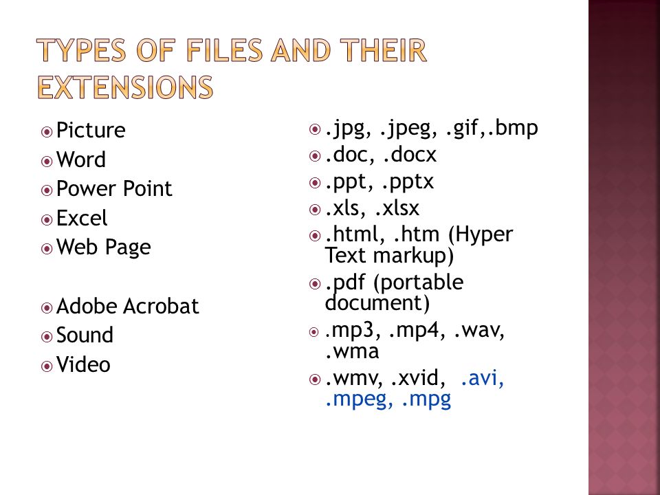 Picture Word Power Point Excel Web Page Adobe Acrobat Sound Video.jpg,.jpeg,.gif,.bmp.doc,.docx.ppt,.pptx.xls,.xlsx.html,.htm (Hyper Text markup).pdf (portable document).