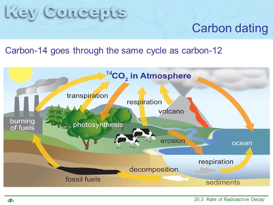 practical uses of carbon dating