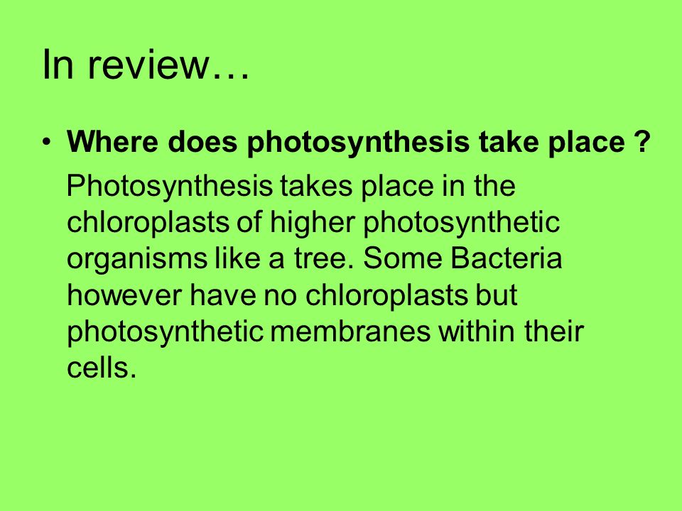 photosythesis takes photosythesis takes