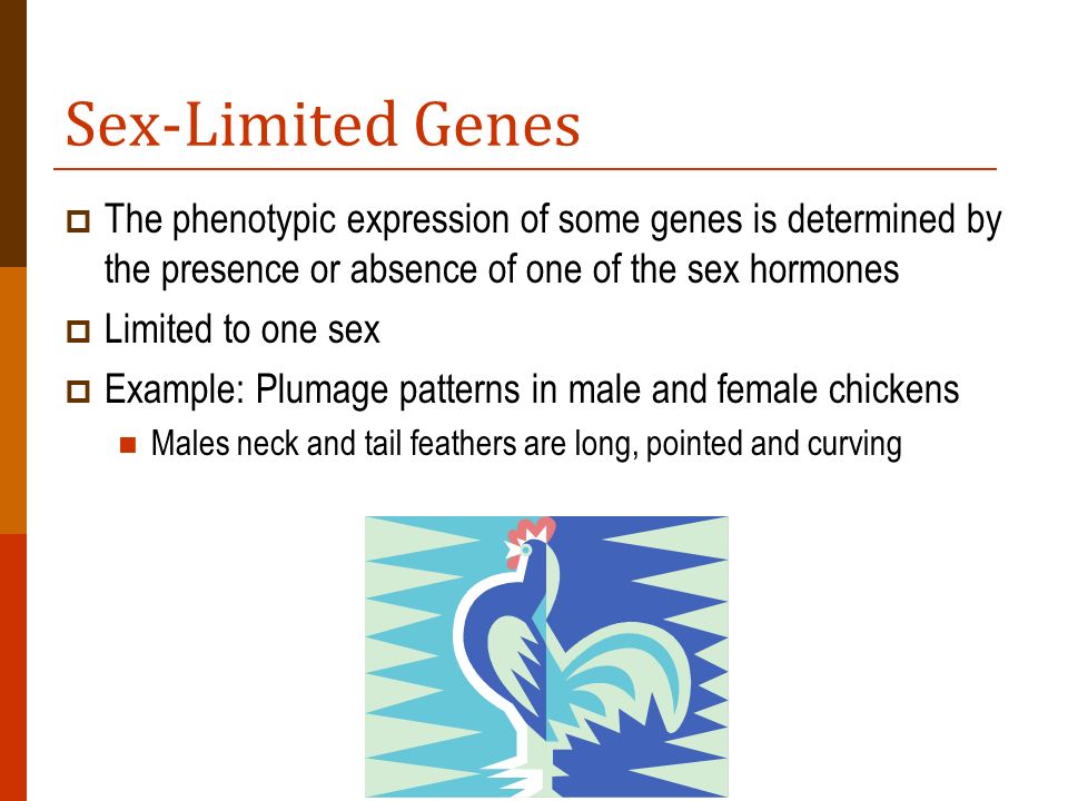 What is a sex influenced trait and sex limited trait