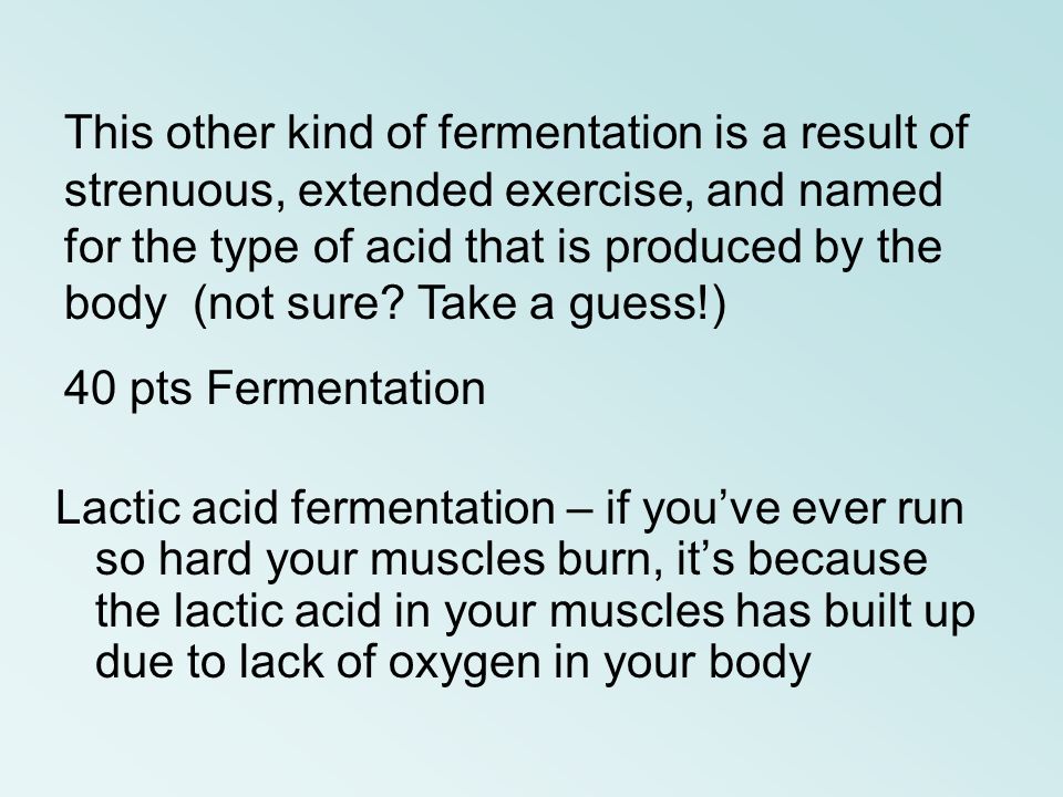 9 3 Fermentation Worksheet Answers Sheet Page 9 3 Fermentation Worksheet Answers Brain Ideas