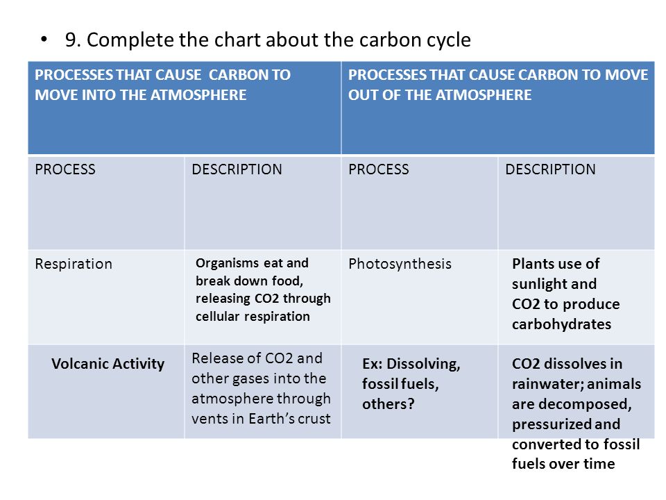 Worksheets Cycles Of Matter Worksheet 3 4 cycles of matter worksheet answers intrepidpath vocab worksheets