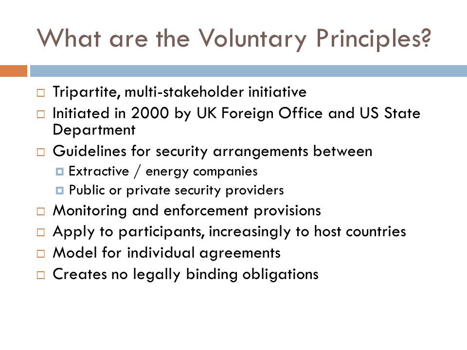 What are the Voluntary Principles.