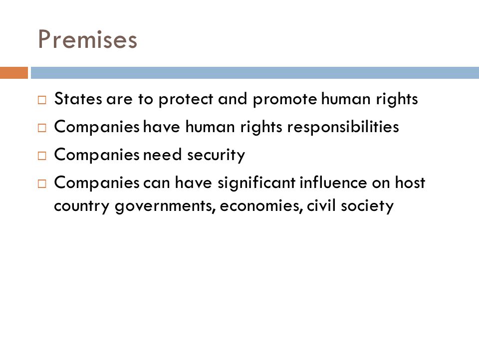 Premises States are to protect and promote human rights Companies have human rights responsibilities Companies need security Companies can have significant influence on host country governments, economies, civil society
