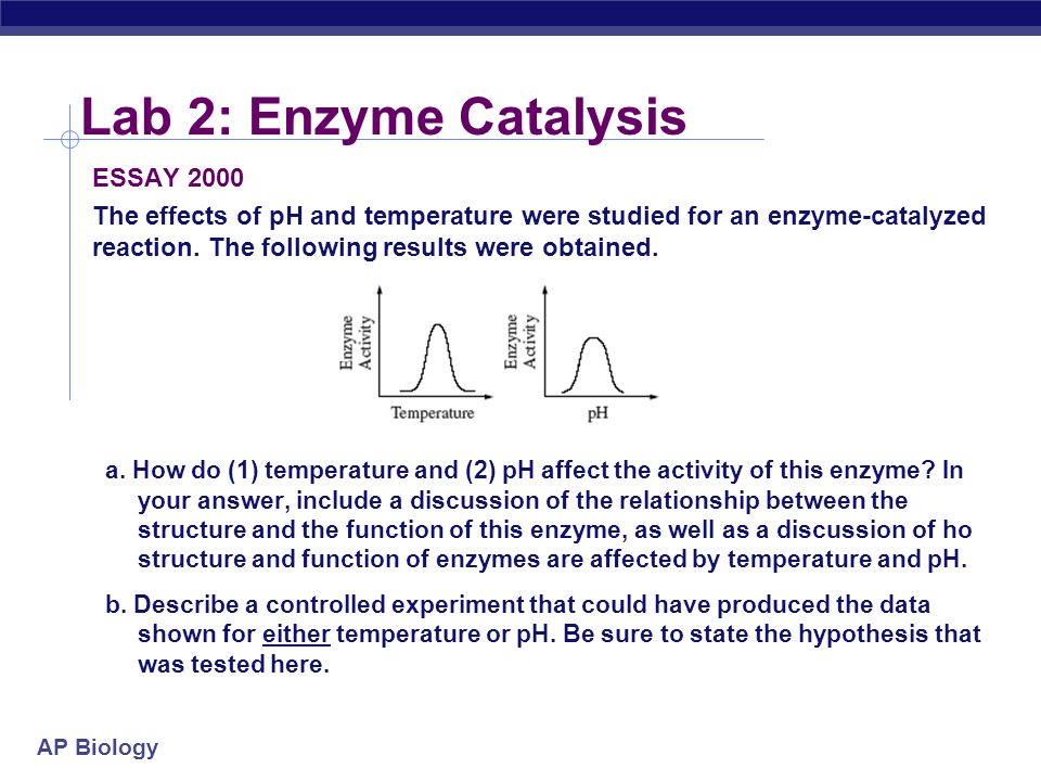 lab 2 enzyme catalysis essay lab 2 enzyme catalysis essay