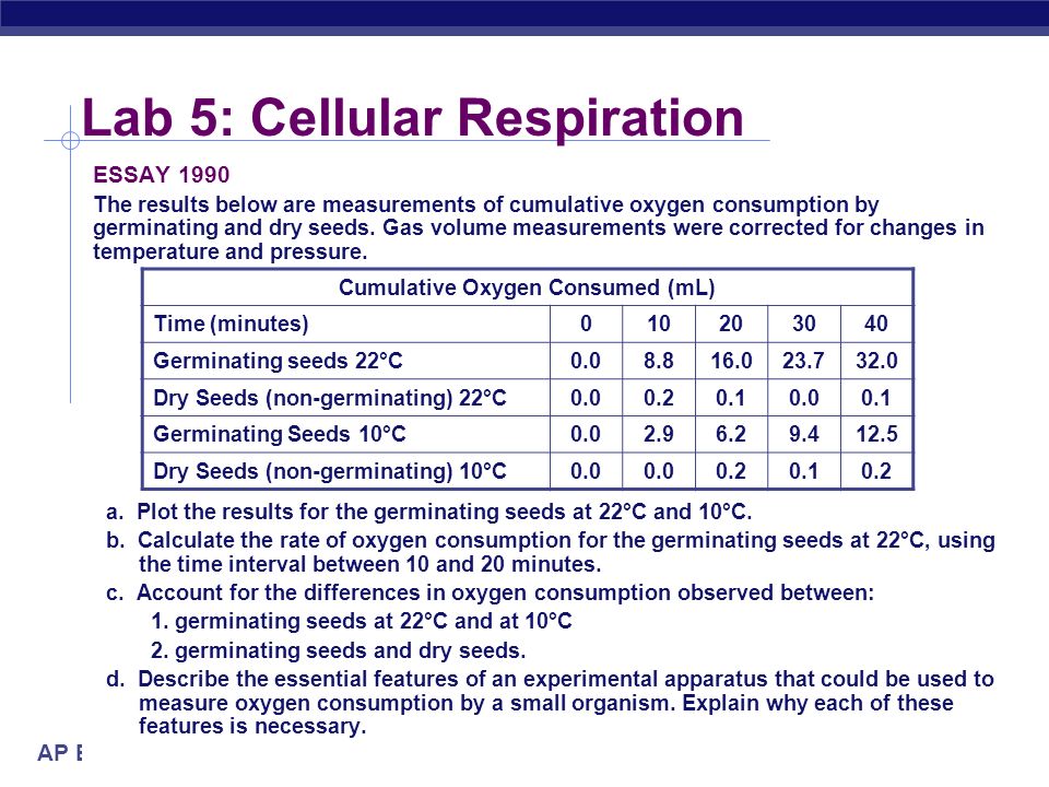 Photosynthesis v_ Cellular Respiration Poster by keralaguest