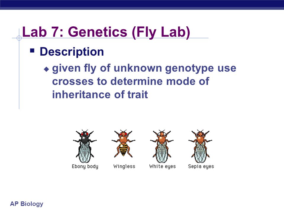 essay 2002 the human genome illustrates both continuity and change essay 2002 the human genome illustrates both continuity and change