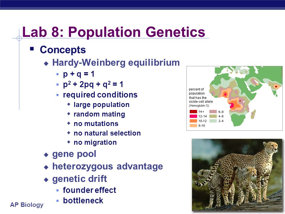 population genetics research papers Additional coursework on resume computer science population genetics phd whether you need to deliver a phd dissertation or a high-school research paper. population genetics research papers Additional coursework on resume computer science population genetics phd whether you need to deliver a phd dissertation or a high-school research paper.