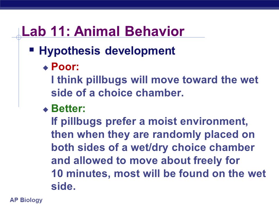 ap biology sea slug essay ap biology sea slug essay