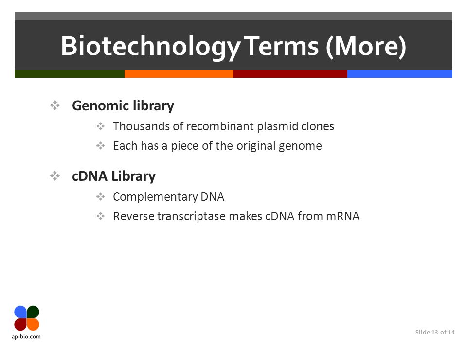 Slide 13 of 14 Biotechnology Terms (More) Genomic library Thousands of recombinant plasmid clones Each has a piece of the original genome cDNA Library Complementary DNA Reverse transcriptase makes cDNA from mRNA