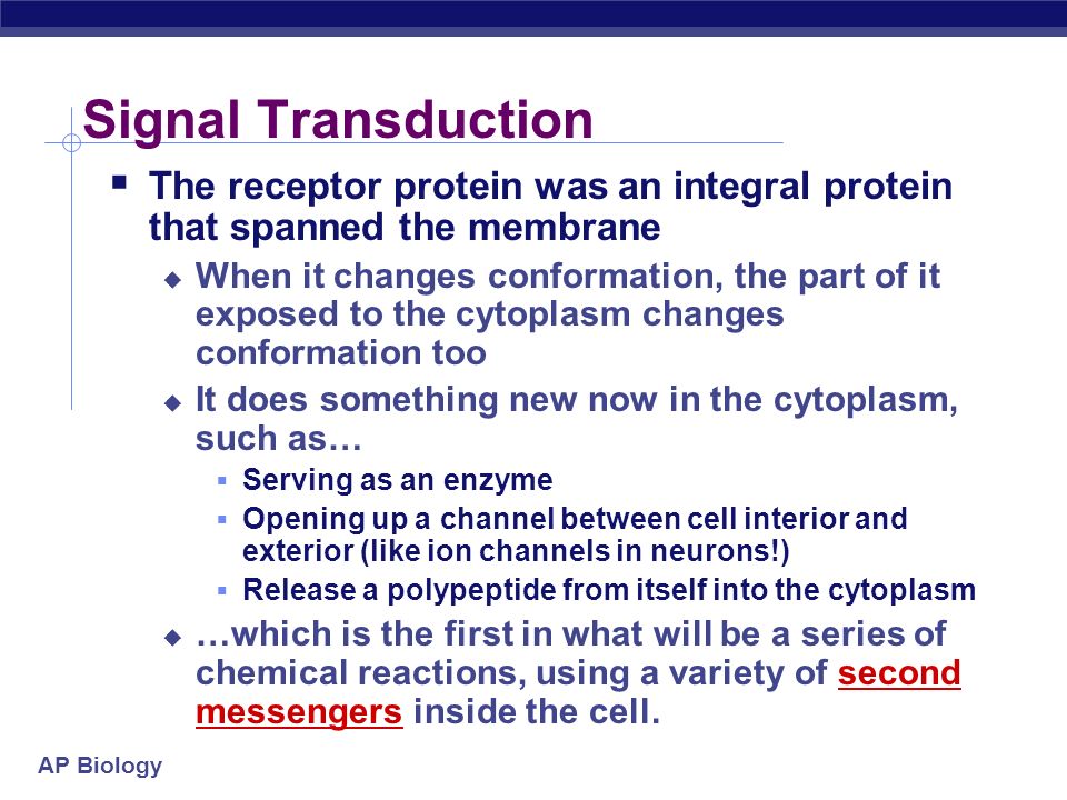 biology ap essay Ap biology 2188 words | 11 pages ap essay answers: 16-20 1 information transfer is fundamental to all living organisms for two of. biology ap essay Ap biology 2188 words | 11 pages ap essay answers: 16-20 1 information transfer is fundamental to all living organisms for two of.