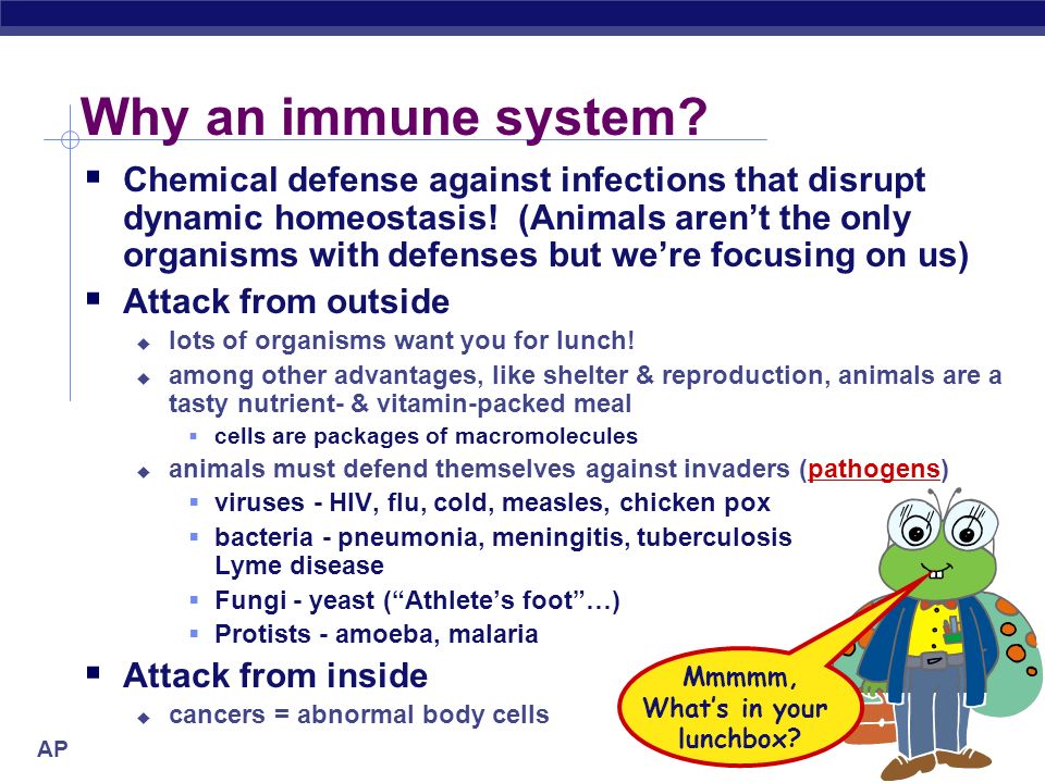 Ap biology essay questions immune system