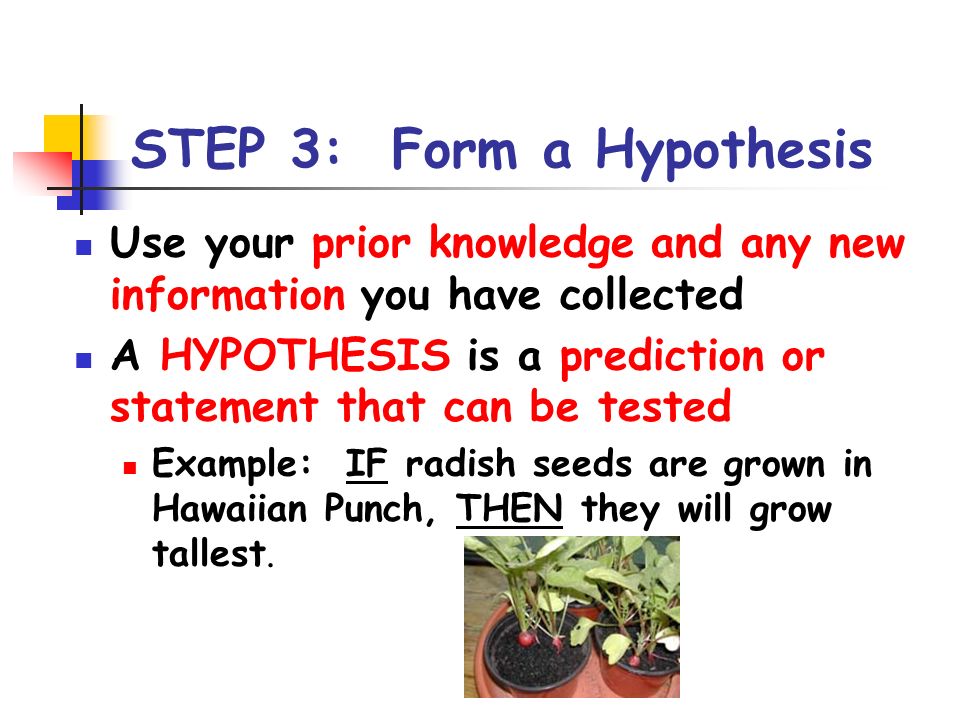Forming Hypothesis