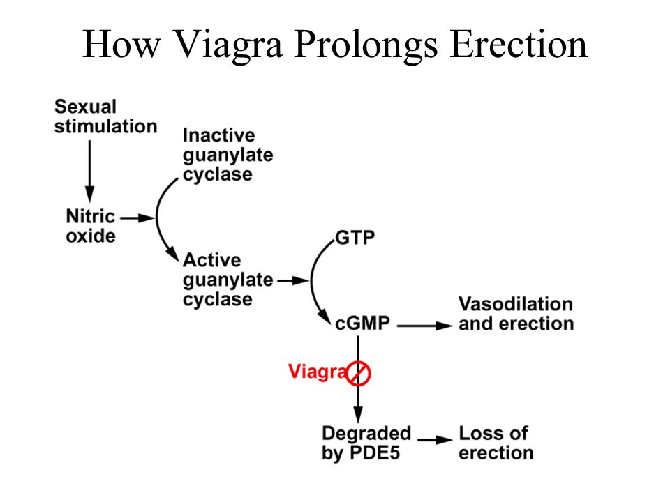 Erections On Viagra