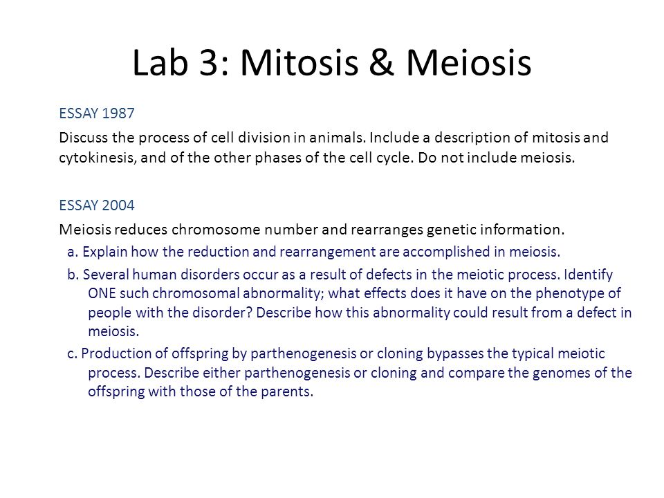 meiosis reduces chromosome number and rearranges genetic information essay meiosis reduces chromosome number and rearranges genetic information essay