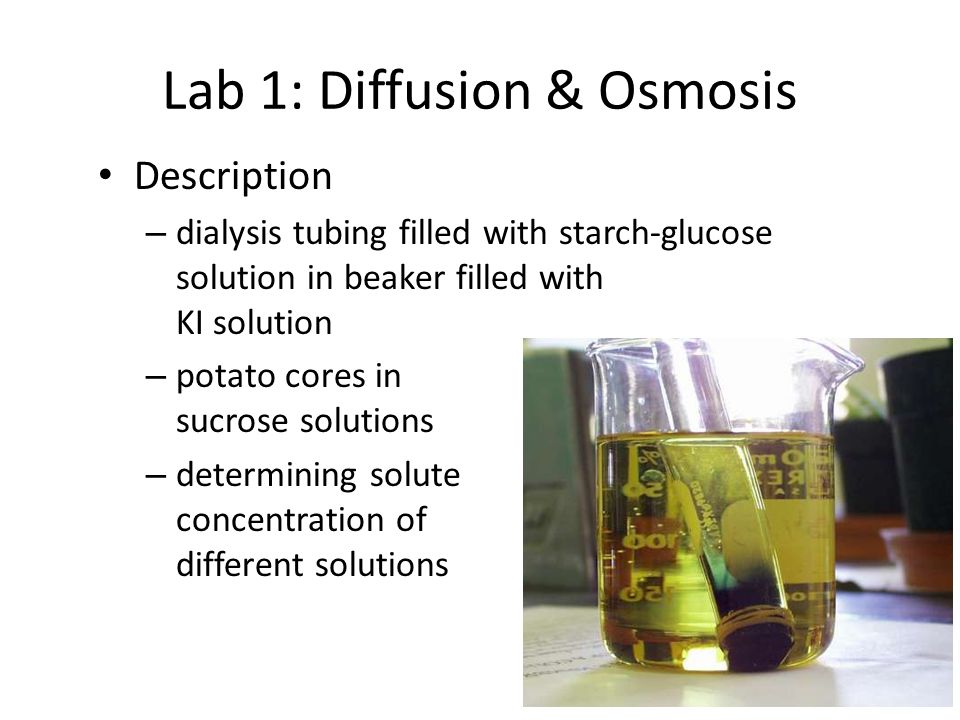 as biology water essay as biology water essay