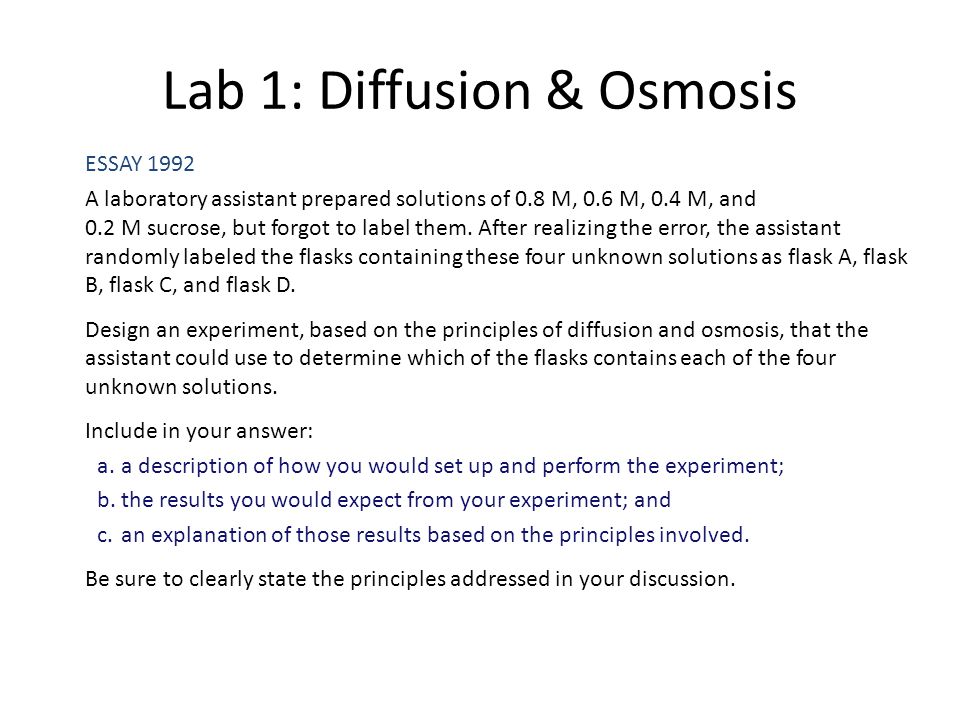 diffusion essay diffusion essay
