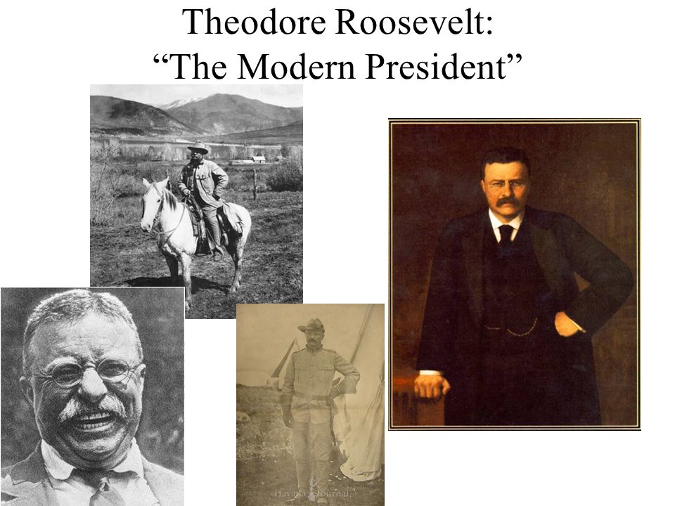 Theodore Roosevelt: The Modern President