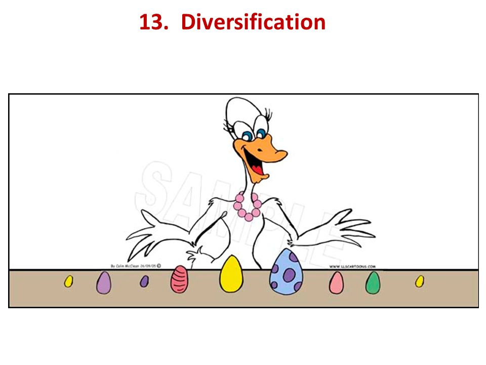 13. Diversification
