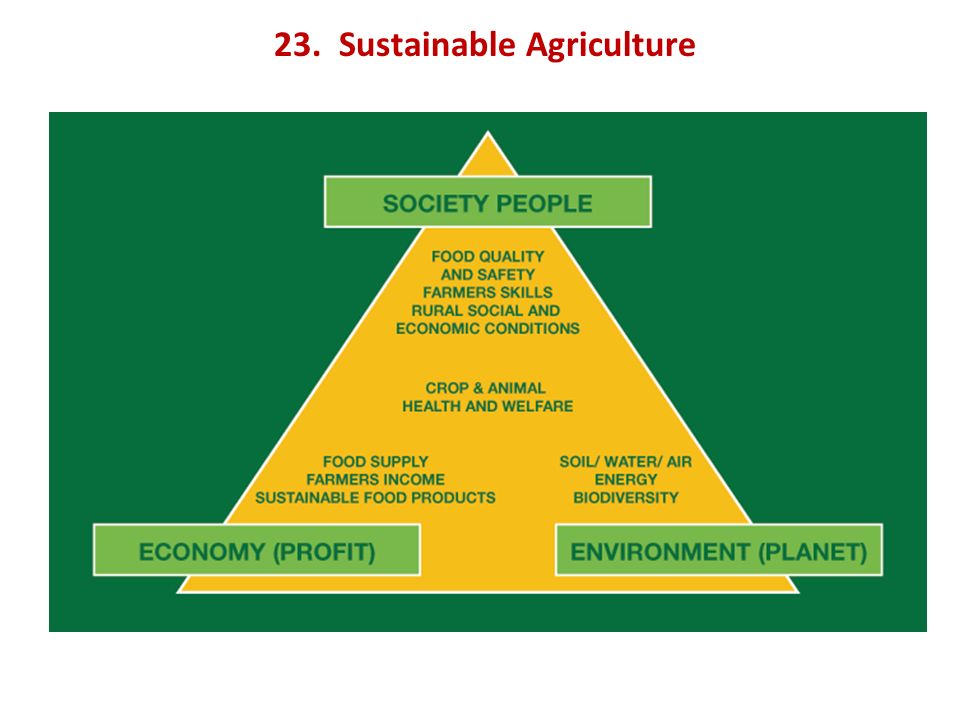 23. Sustainable Agriculture