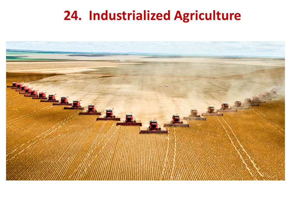 24. Industrialized Agriculture