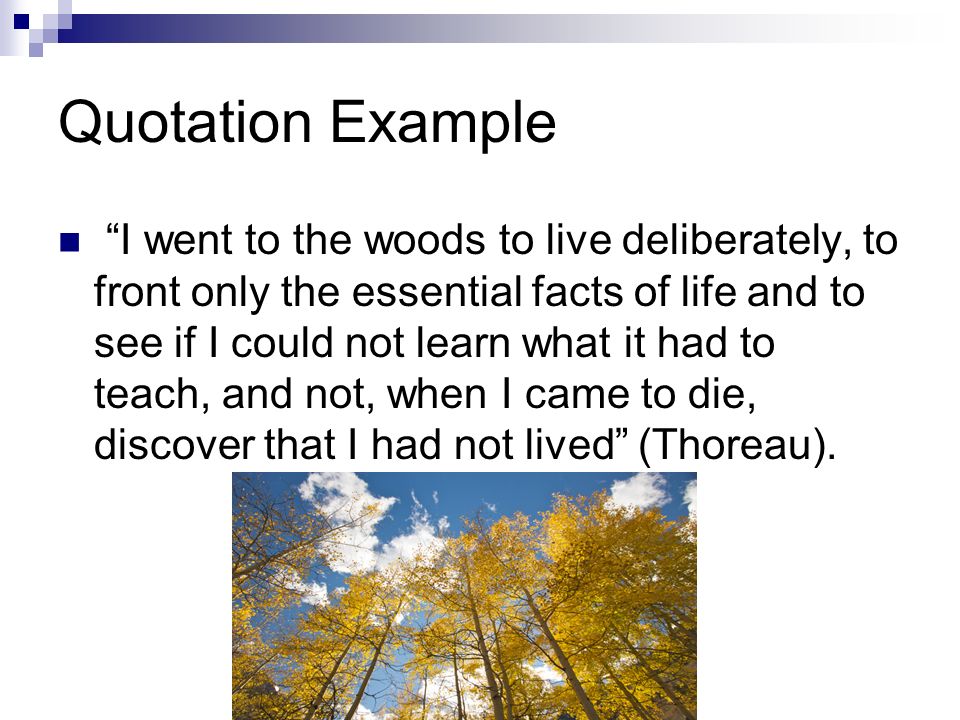 attention getter connector statement thesis attention getter connector statement thesis