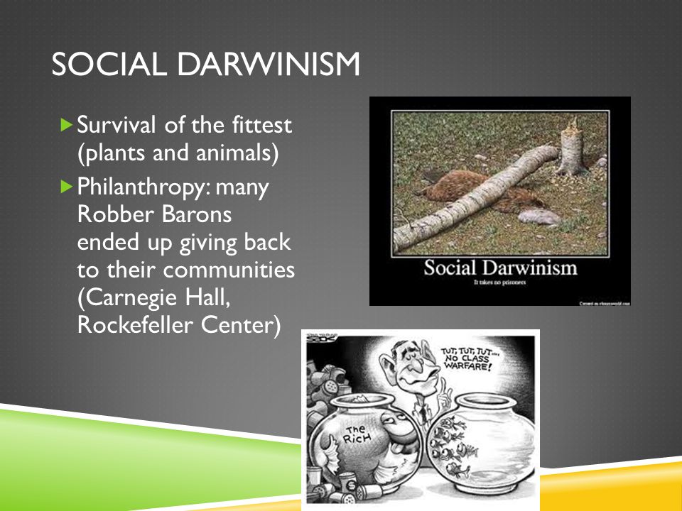 essay about social darwinism essay about social darwinism