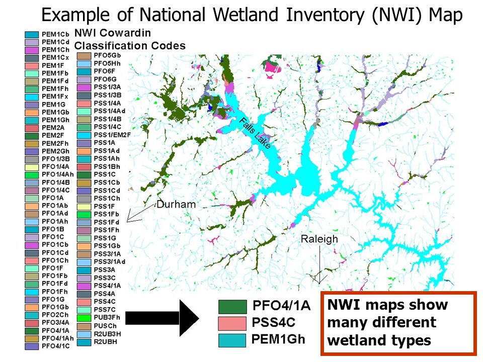 National Wetlands Inventory Gis Download