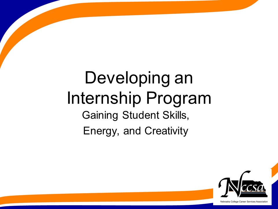 Developing an Internship Program Gaining Student Skills, Energy, and Creativity