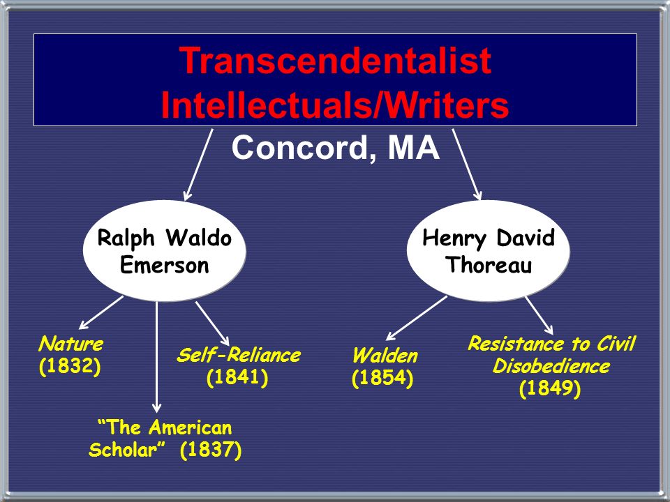 Writing A Scientific Dissertation