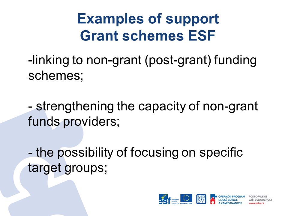 Examples of support Grant schemes ESF -linking to non-grant (post-grant) funding schemes; - strengthening the capacity of non-grant funds providers; - the possibility of focusing on specific target groups;