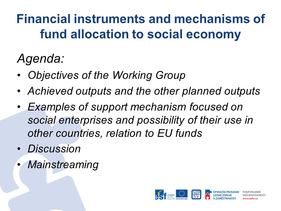 Agenda: Objectives of the Working Group Achieved outputs and the other planned outputs Examples of support mechanism focused on social enterprises and possibility of their use in other countries, relation to EU funds Discussion Mainstreaming