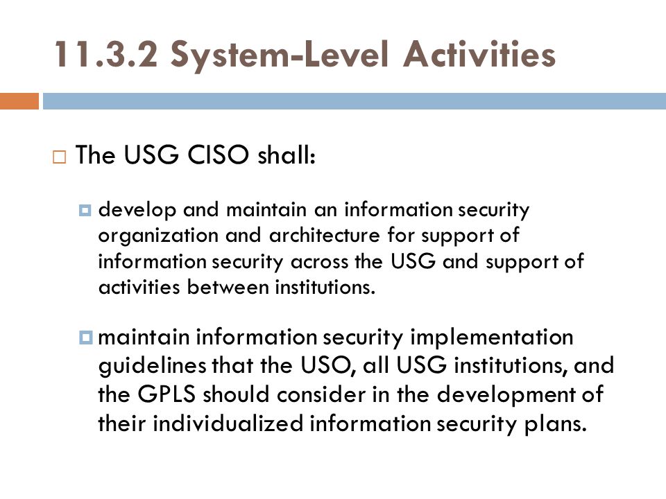 System-Level Activities  The USG CISO shall:  develop and maintain an information security organization and architecture for support of information security across the USG and support of activities between institutions.