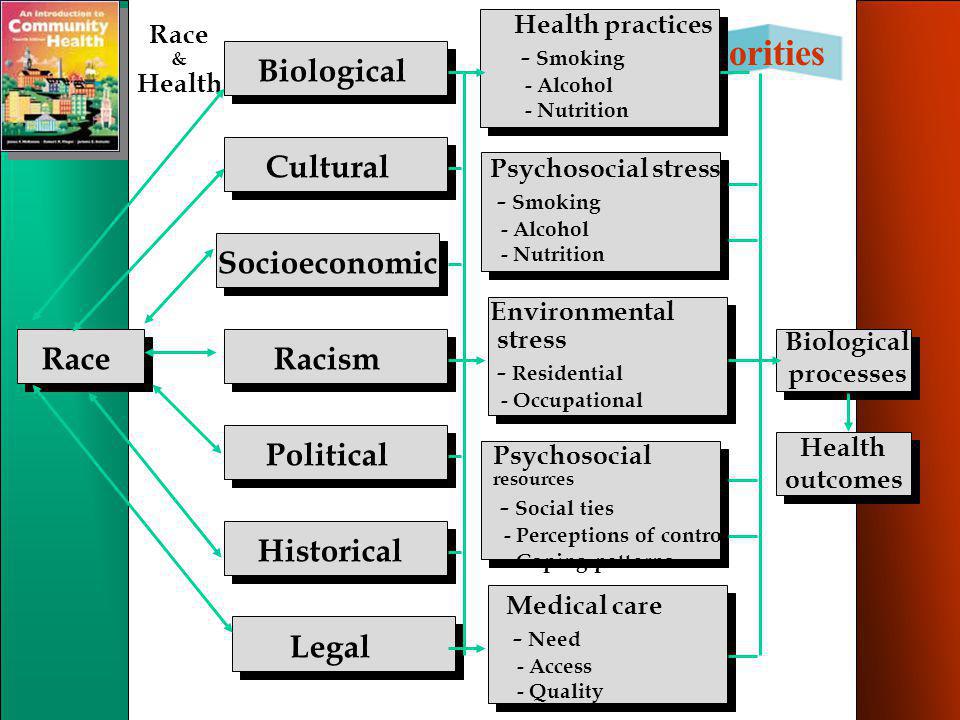Chap 10: Minorities Race & Health Biological Cultural Socioeconomic Racism Political Historical Legal Biological processes Environmental stress - Residential - Occupational Health practices - Smoking - Alcohol - Nutrition Psychosocial resources - Social ties - Perceptions of control - Coping patterns Medical care - Need - Access - Quality Psychosocial stress - Smoking - Alcohol - Nutrition Health outcomes Health outcomes