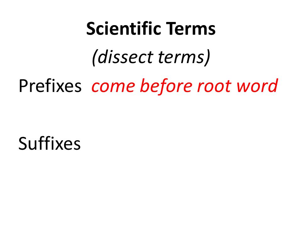 Scientific Terms (dissect terms) Prefixes come before root word Suffixes