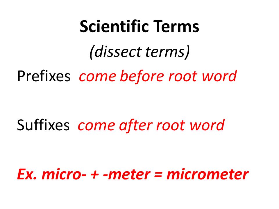 Scientific Terms (dissect terms) Prefixes come before root word Suffixes come after root word Ex.