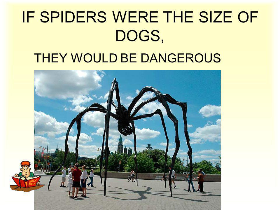 IF SPIDERS WERE THE SIZE OF DOGS, THEY WOULD BE DANGEROUS
