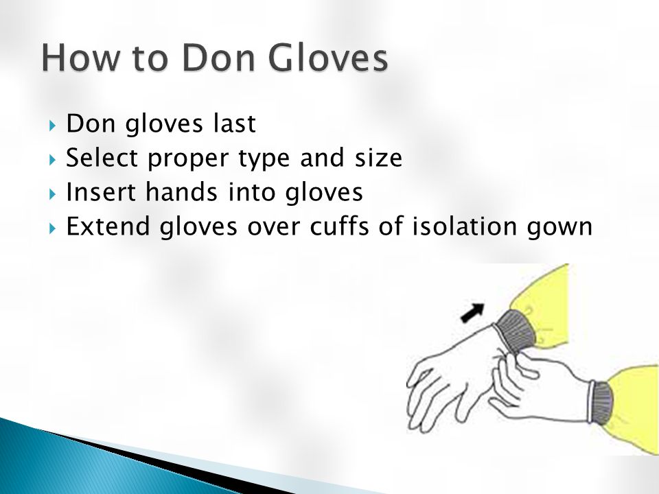  Don gloves last  Select proper type and size  Insert hands into gloves  Extend gloves over cuffs of isolation gown