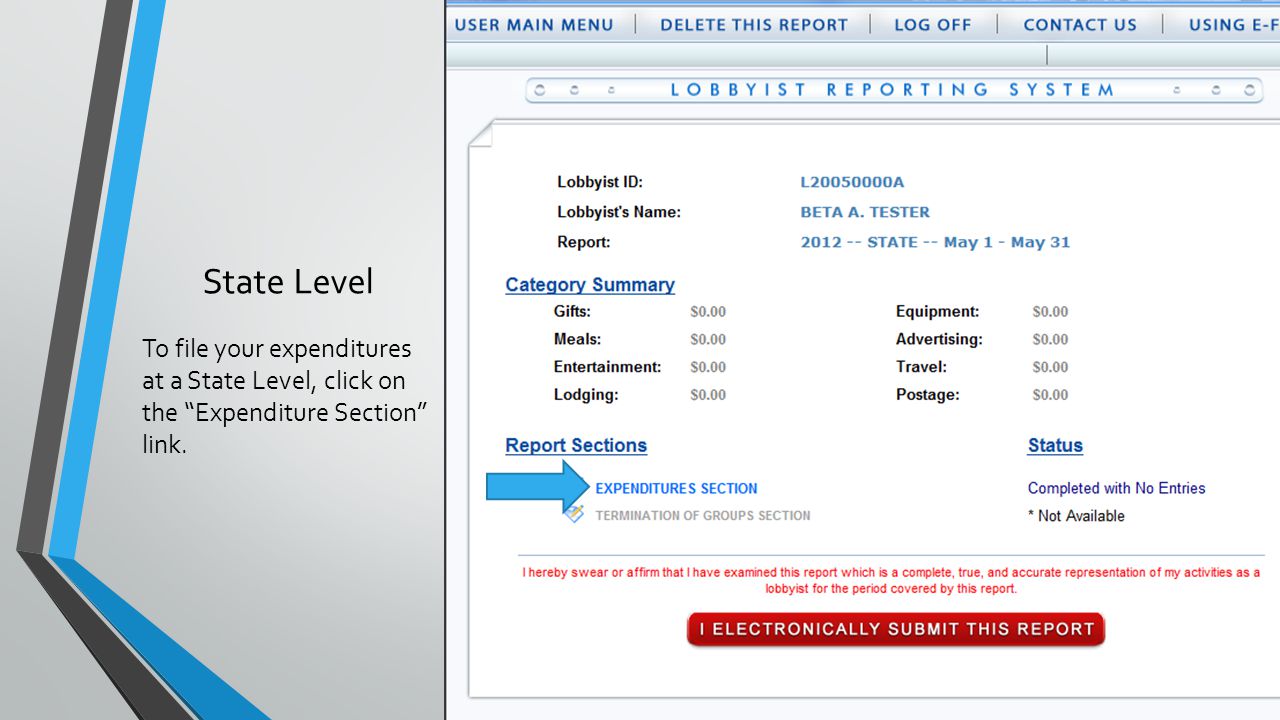 State Level To file your expenditures at a State Level, click on the Expenditure Section link.