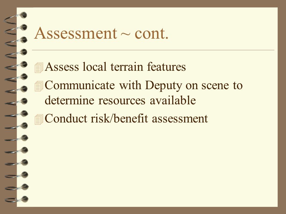 Assessment ~ cont.