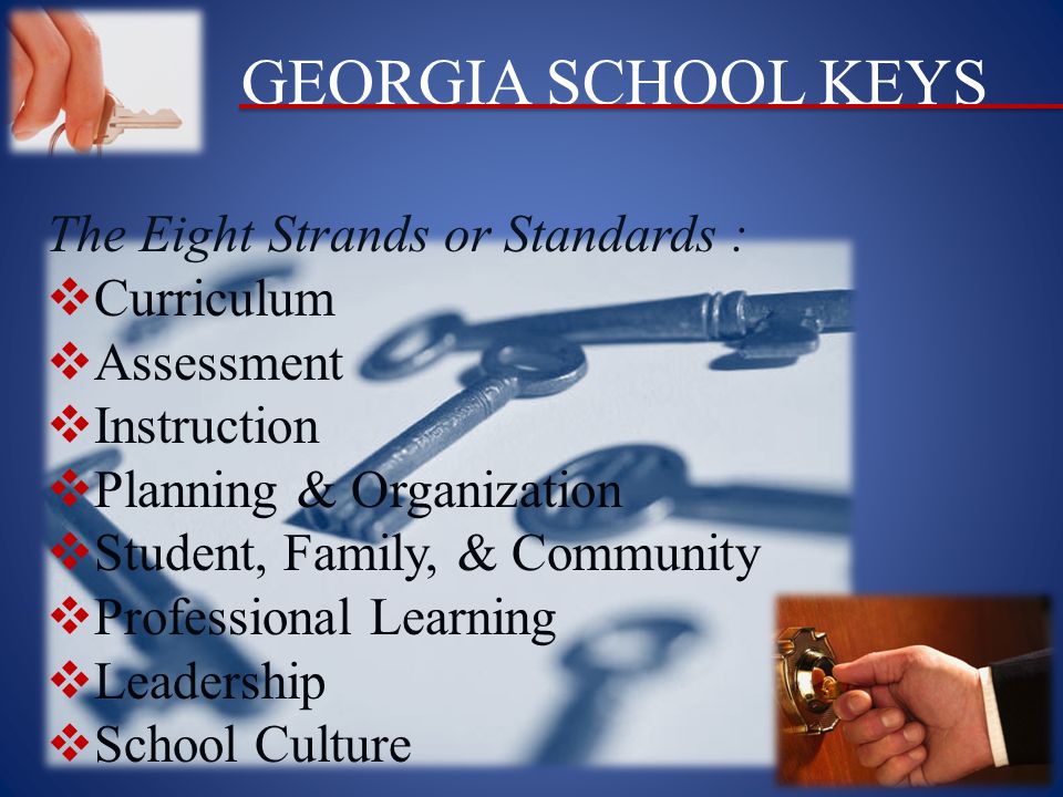 GEORGIA SCHOOL KEYS The Eight Strands or Standards :  Curriculum  Assessment  Instruction  Planning & Organization  Student, Family, & Community  Professional Learning  Leadership  School Culture
